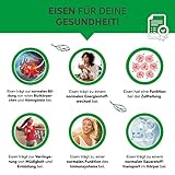 Bio Chlorella Pulver 500g | Premium Rohkost-Qualität | 100% reines Algen-Pulver ohne Zusätze | Zellwand gebrochen Vegan
