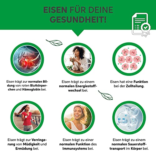 Bio Chlorella Pulver 500g | Premium Rohkost-Qualität | 100% reines Algen-Pulver ohne Zusätze | Zellwand gebrochen Vegan
