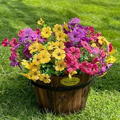 Yellow,fuchsia,purple