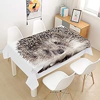 FANSU Nappe Rectangulaire, Cuisine 3D Tigre Nappe De Table