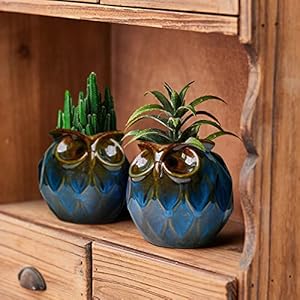 GeLive Blue Owl Ceramic Succulent Planter with Drainage Hole Animal Plant Pot Tabletop Decoration Vase Window Box Indoor Outdoor Decor (Blue) GeLive Blue Owl Ceramic Succulent Planter with Drainage Hole Animal Plant Pot Tabletop Decoration Vase Window Box Indoor Outdoor Decor Blue