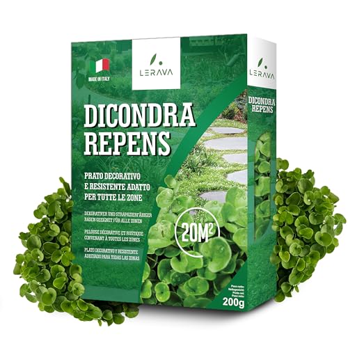 LERAVA® Dicondra semi [Non Richiede Taglio] - 20m² - Estrema resistenza alla siccità - Dichondra repens semi ideali per zone ombreggiate e soleggiate - semi dicondra per prato - 200g