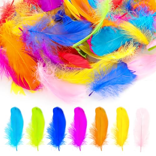 Feathers for Crafting Colorful White Black Blue Yellow Feather Bulk Craft Supplies Decorative Crafts for Dream Catcher Gift Box Filling Wedding Party Decorations DIY Supplies 100 PCS