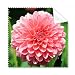 Peach Blossom Beautiful Flowers Cleaning Cloth Phone Screen Glasses Cleaner 5pcs