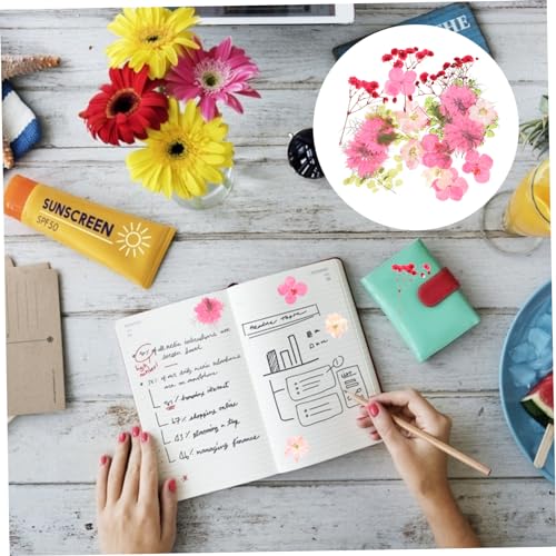 30 piezas flores prensadas secas para manualidades miniatura 3