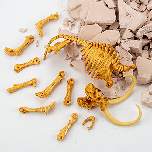 Science4you Mammut Dino Ausgrabungsset Kinder +6 - Archäologie Set Für Kinder mit 17 Teilen, Grab Dein Dinosaurier Spielzeug - Experimentierkasten, Kinder +6 Jahre – Bild 8