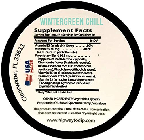 TeaZa Energy Smokeless Alternative with Hemp | Quit Chewing and Dipping Snuff | Nicotine and Caffeine Free Herbal Energy Pouch (Wintergreen Chill, 1 Pack)