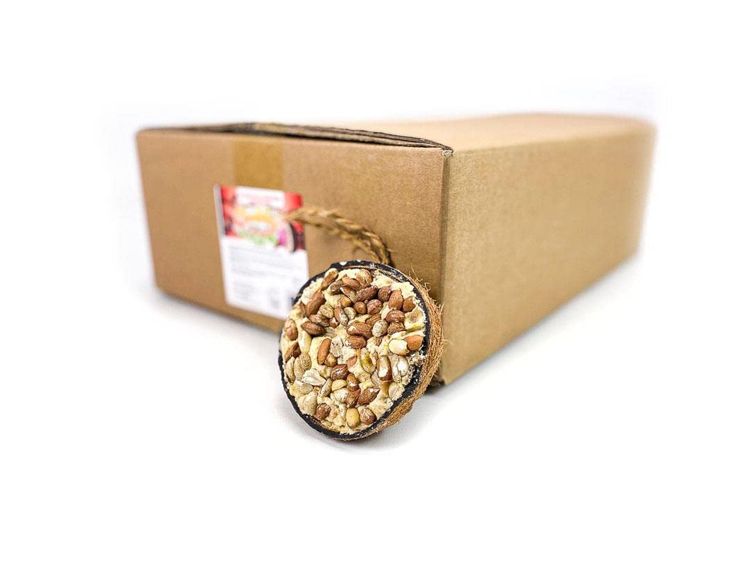 Chubby Suet Half Filled Coconuts Topped with Peanuts, Bird Feeder Coconut Halves, for Wild Birds, Coconut Shell Suet Birds Food, Suet for Blackbirds, Woodpeckers, Starlings & Sparrows (30 Pack)