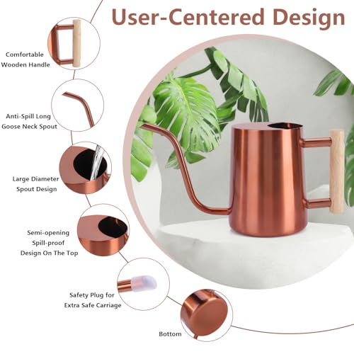 Image of Watering Can Indoor Plants, 35oz Small Stainless Steel Metal Watering Can Modern Decorative Watering Pot with Long Spout for Indoor House Plant Bonsai Garden Flowers (Copper)