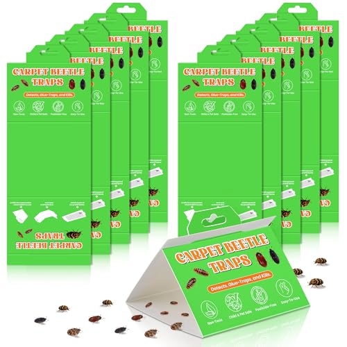 10 Pack Carpet Beetle Traps, Indoor Sticky Glue Traps for Carpet Beetles, Larvae & Other Crawling Insects Non-Toxic Sticky Trap Monitoring Solution