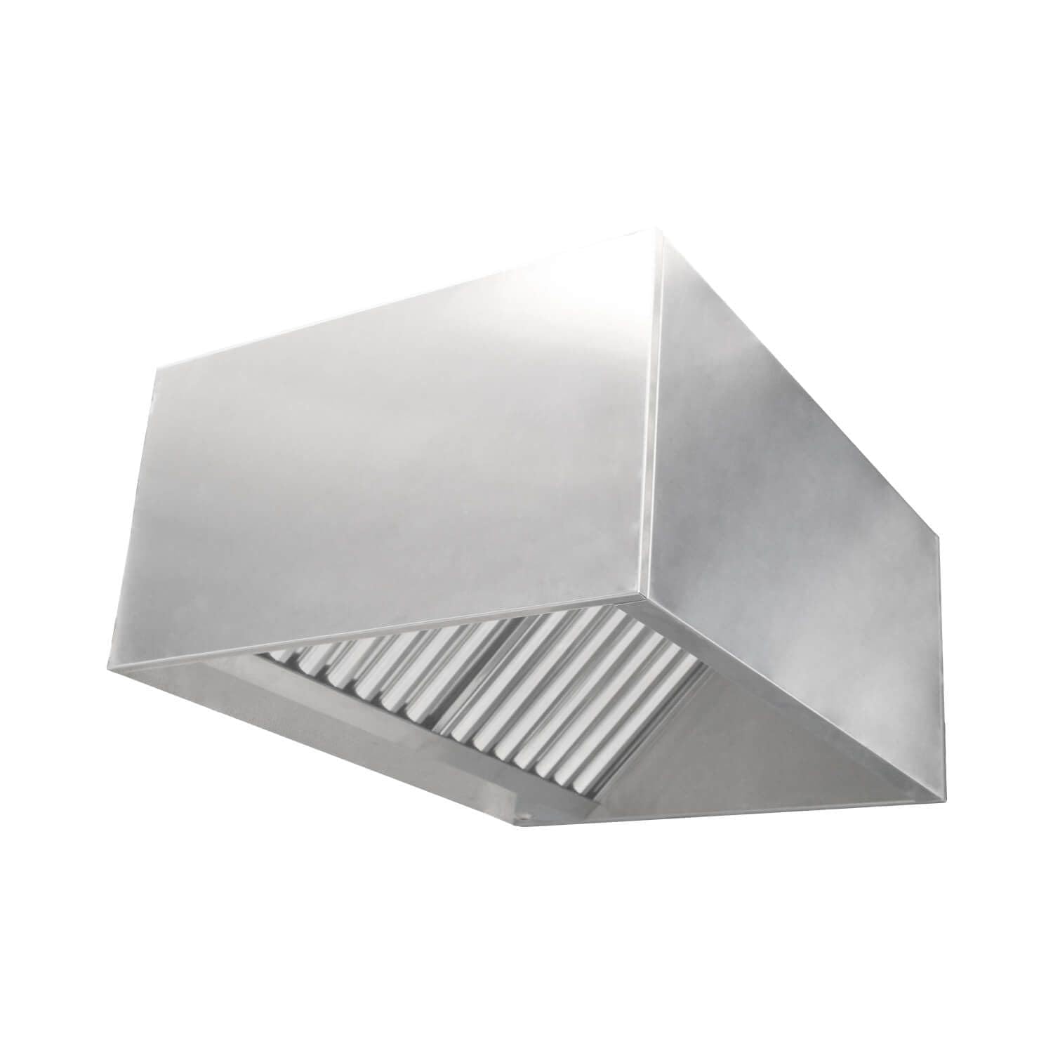 Campana Extractora Industrial Modelo Rectangular en Acero Inoxidable para Pared o Central a Techo - 4 Filtros - 2008mm