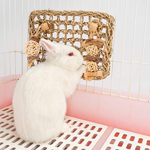 Andwe Seagrass Protector Mat With Toys For Rabbit Bunny Chinchilla Guinea Pigs Or Other Rodent Pets thumb #1
