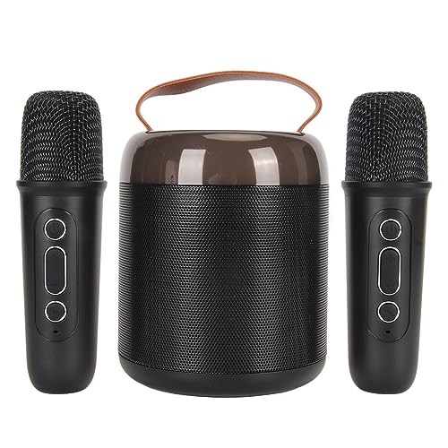 Karaoke Speakers RGB Light Bluetooth5.3 Speaker with 2 Microphones Portable Karaoke Machine for Family Party (Black)