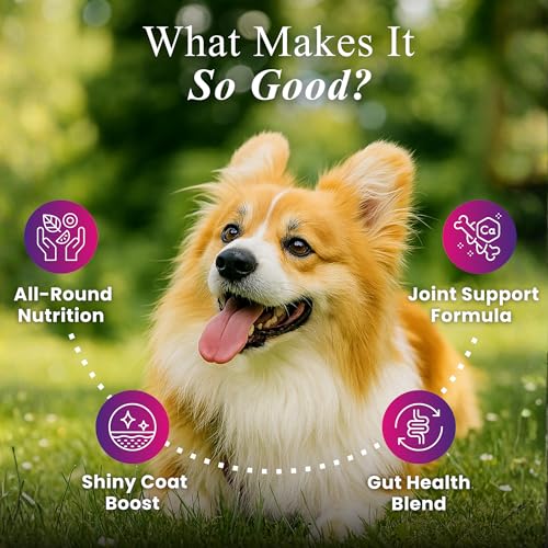 Image of Petroyale Daily One, All-in-One Supplement for Dogs - 25 in 1, Dog Multivitamin, Probiotics, Omega 369, Hip & Joint, Skin & Coat, Gut Health - Soft Chew Dog Everyday Supplement for Dogs (60 Chews)