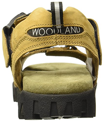 Woodland Men's Sandals : Amazon.in: Fashion