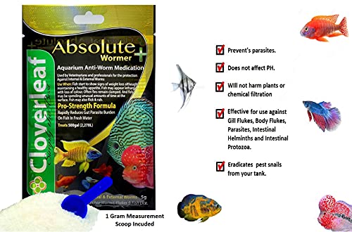 WORMER Plus - Freshwater and Saltwater Fish Powder Medication. Dewormer for Fish with Worms and Flukes. (40G - Treats… - Image 3