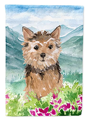 Grand drapeau Norwich Terrier multicolore en tissu résistant pour mât de maison