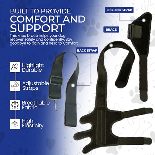 Image of Dog Knee Brace - Test Version (Small)