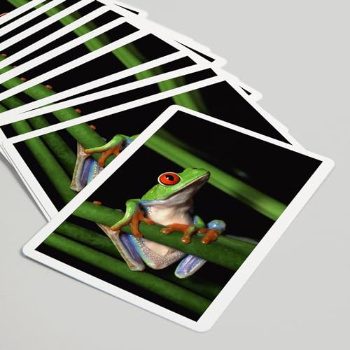 Baraja de cartas Tree Frog póker 52 piezas miniatura 5