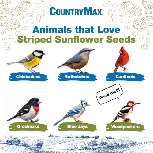 Image of CountryMax 10LB Striped Sunflower Seeds for Birds - in Shell | Thin Shells, Cardinal Favorite, High Energy & USA Sourced. For Ground Feeding or Bird Feeders, For Year-Round Feeding