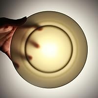 Vista 5 de IQCWOOD Platos llanos de porcelana de 8 pulgadas, juego de 6 platos planos de ensalada de postre, plato redondo moderno