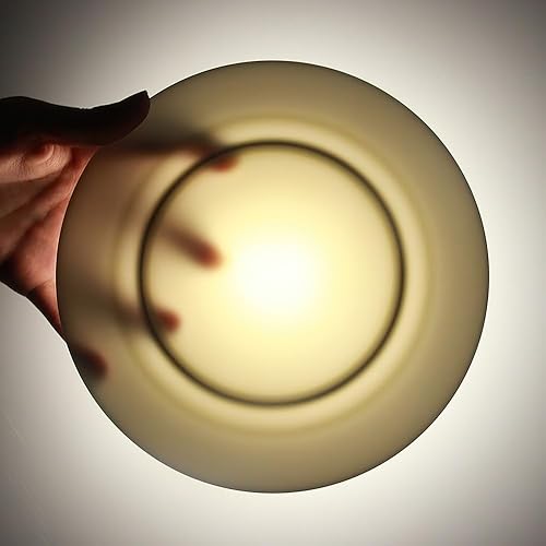 Miniatura 5 de IQCWOOD Platos planos de porcelana, juego de 6 platos de cena blancos de 8 pulgadas, platos de ensalada de postre de 8 pulgadas, aptos para horno y