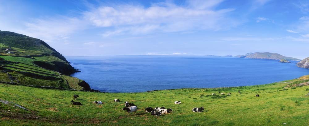Posterazzi DPI1806562LARGE Slea Head, Blasket Islands, Dingle Peninsula, County Kerry, Irlanda, impresión fotográfica, 56 x 22 cm, Multi