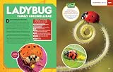 Ultimate Bug-opedia: The fact-packed insect encyclopedia
