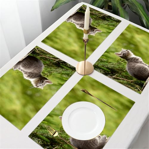 UREJD 4 Unità - 45x30 cm - Tovaglietta Lavabile,Resistente al Calore,Antiscivolo,Antimacchia per Tavolo della Cucina e Sala - Gatto divertente seduto gattino amante degli animali domestici che guarda