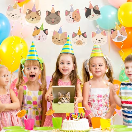Image of Hooqict Happy Birthday Banner Cat Birthday Decorations Party Banner Garland Sign for Girls Kids 1st 2nd 3rd Funny Cat Themed Birthday Party Decorations Supplies