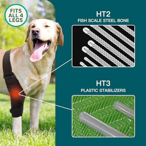 Image of Adjustable Dog Hip & Leg Brace, Support for Joint Pain, ACL Tear, Arthritis, Hip Dysplasia, Injury Recovery Pet Leg Suppor