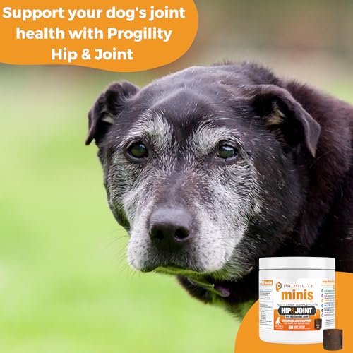 Image of Progility Mini Hip & Joint Supplement for Small to Medium Dogs - Daily Mobility & Joint Support with Glucosamine, Chondroitin & MSM, Soft Chews (60 Count)