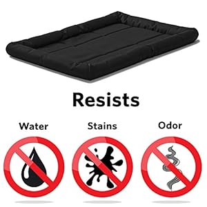 MidWest-Homes-for-Pets-Maxx-Dog-Bed-for-Metal-Crates-36-Inch-Black - Cucciolini Doodles   MidWest-Homes-for-Pets-Maxx-Dog-Bed-for-Metal-Crates-36-Inch-Black