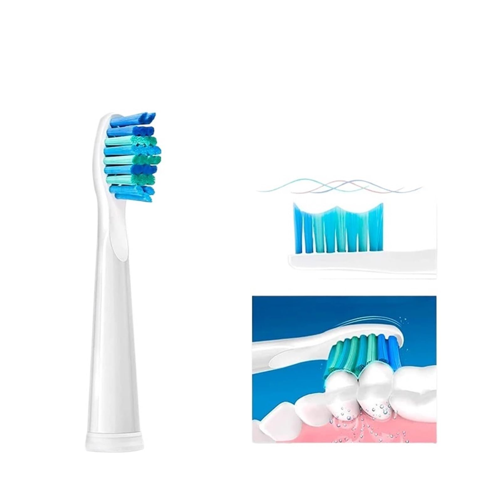 Testine, Compatibili Con FW-D1/FW-D3/FW-D7