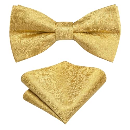 Hi-Tie Bow Ties for Boys Pre-Tied Silk Kids Bow Tie Adjustable Boys Bowties with Pocket Square Set for Wedding Party