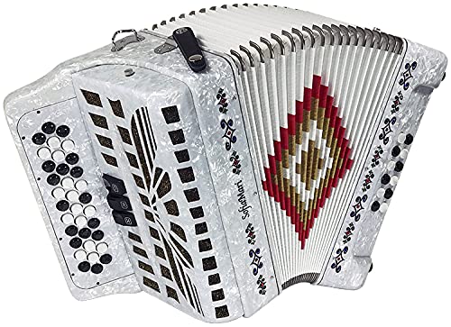 Amazon.com: SofiaMari NSM3412 Accordion Package: 34 Button, 12