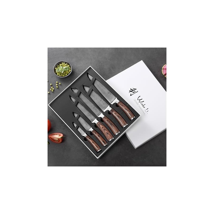 Wakoli Damascus Kitchen Knife Set, 6 Pieces Professional Chef Knife Set made from 67 Layers of Damascus Steel with VG10 Core, Knives Set for Kitchen with Pakkawood Handles in Gift Box (EDIB 6-pcs)