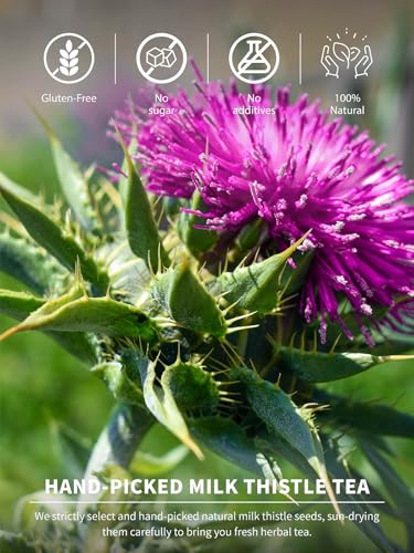 Image of TeeLux Milk Thistle Tea Bags, 3g /bag, Natural Milk Thistle Seed Tea, Mild & Mellow Taste, Caffeine Free, 60 Count