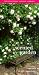 The Scented Garden (Garden Project Workbooks) (Volume 10)