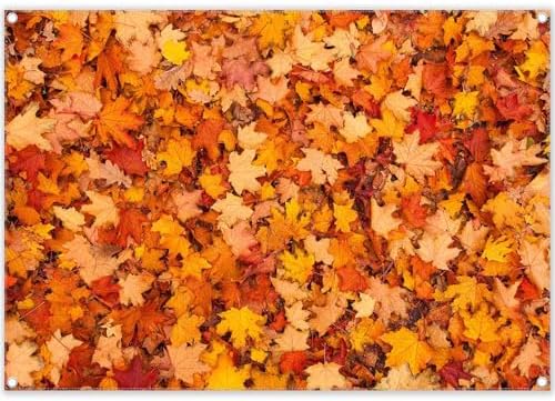 Amazon.com : ZTHMOE Fabric 7x5ft Fall Maple Leaves Backdrop ...