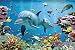 Underwater Dolphin Coral Reef