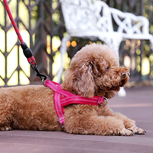 Image of Plutus Pet No Pull Dog Harness for Puppy Small Dogs, Breathable Mesh Padded