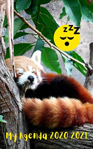 Agenda Scolaire 2020 2021 Journalier Panda Roux: 280 pages 12,7x20,32cm