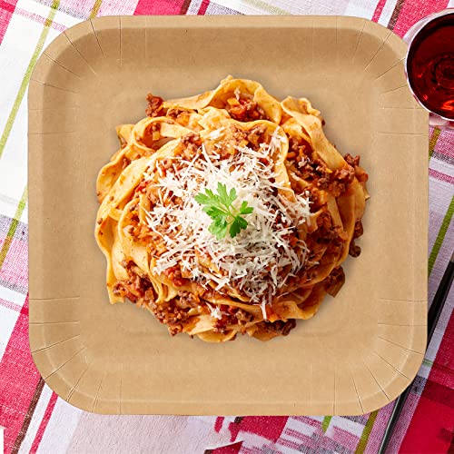 Jinqiu High-End Performance Coffee Color Paper Plate, Kraft Paper Waterproof Dinner Party Paper Plate, Field Picnic Barbecue Carrying Paper Plate, Soild Disposable Dinner Plate Kraft Square 9Inch125Ct #TOP4