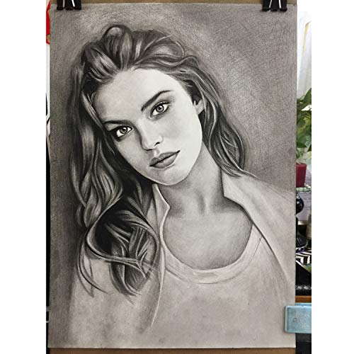 Mujinhua Professional Charcoal Pencils Drawing Set - 12 Pieces Soft, Medium & Hard Charcoal Pencils For Drawing, Sketching, Shading, Ideal Artist Pencils For Beginners & Artists #TOP7