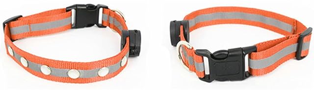 Foto 2 de 6 de QQY Collar de Perro led, Collar de Mascota Impermeable y Luminoso Cargado por USB con 3 Modos de Collar…