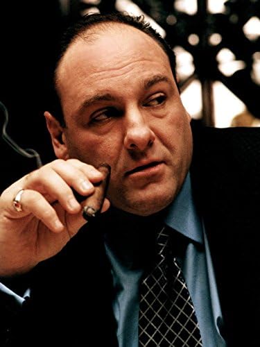 Tony Soprano Portrait The Sopranos James Gandolfini 32x24 Print Poster