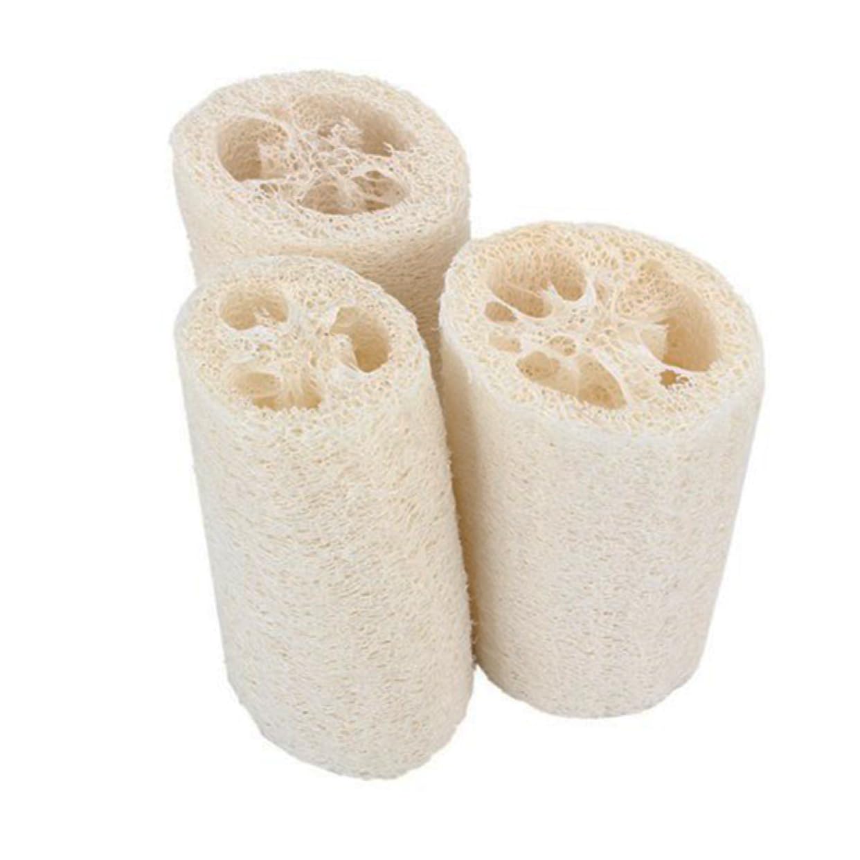 2 Juegos de Esponjas Exfoliantes Naturales para Baño Espalda Limpieza Corporal Portátiles Y Resistentes 5 Unidades.