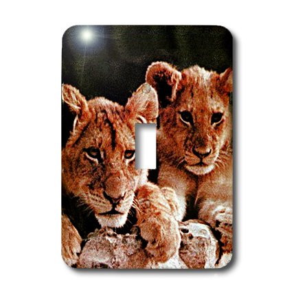 Interrupteur mural 3dRose lsp_600_1 lion africain pour changer de deco