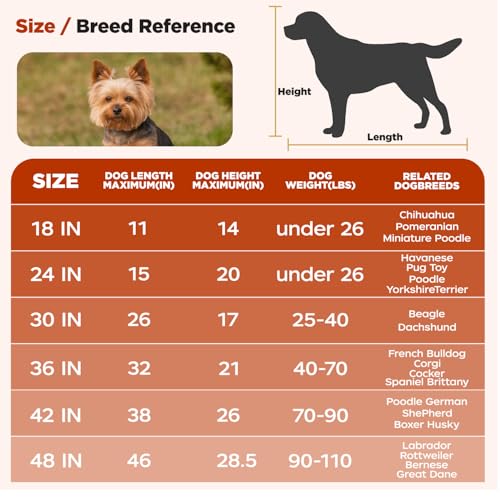 Image of BestPet | Dog Crate | 24 inch | Black | Foldable Metal Kennel with Single Doors